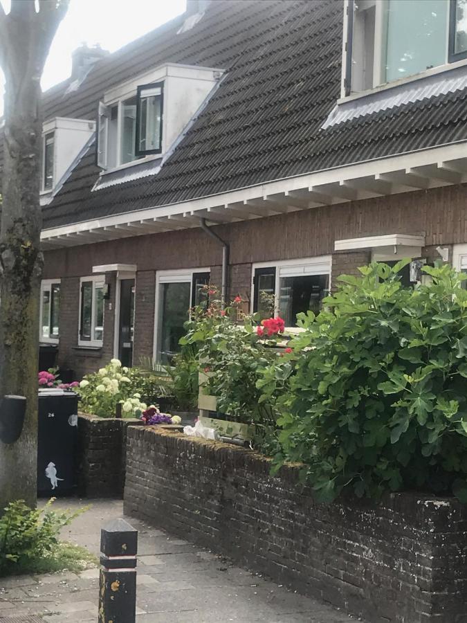 Het Zonnetje Zandvoort Exterior foto
